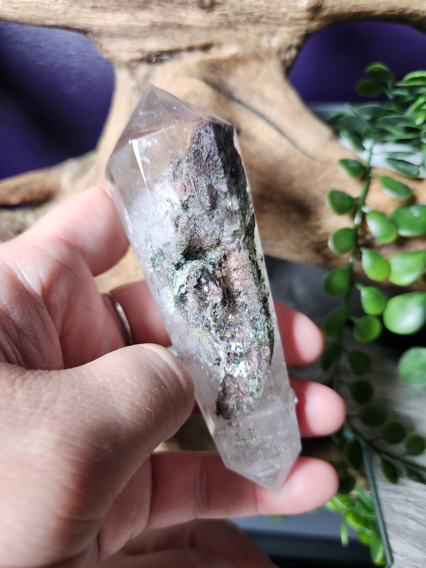 Garden Quartz | Vogels