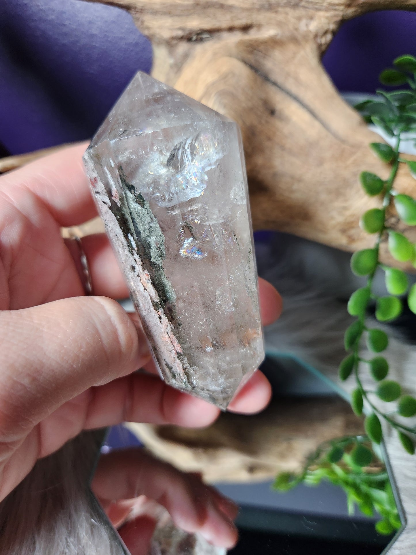Garden Quartz | Vogels