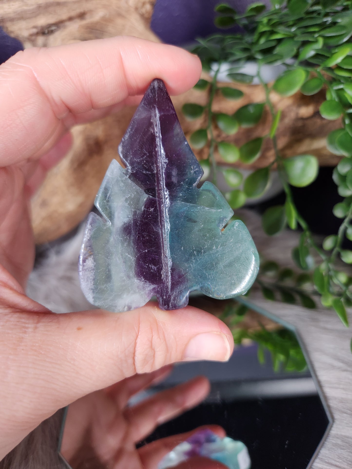 Fluorite | Leaves