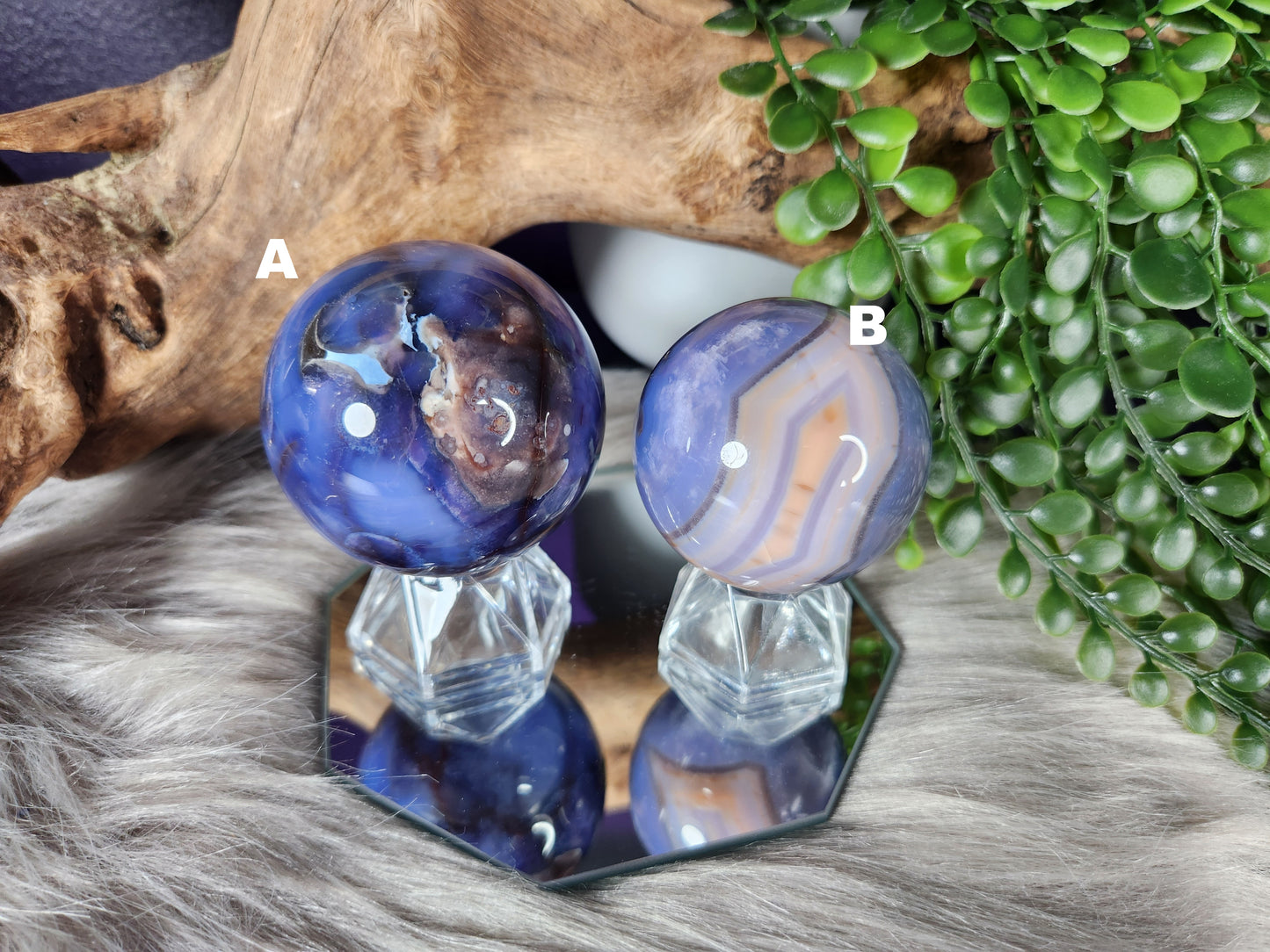 Blue Flower Agate | Spheres w/Stand