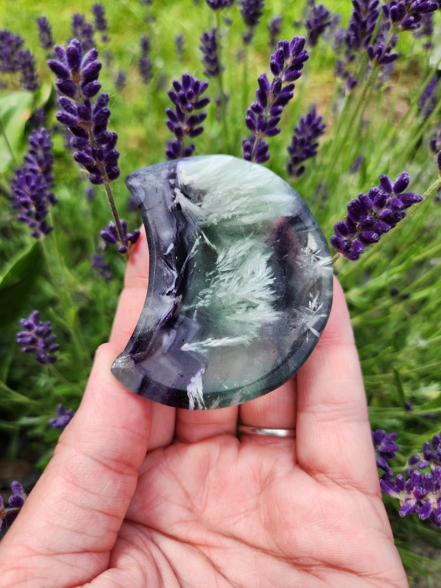 Feather Fluorite | Small Moon Bowls