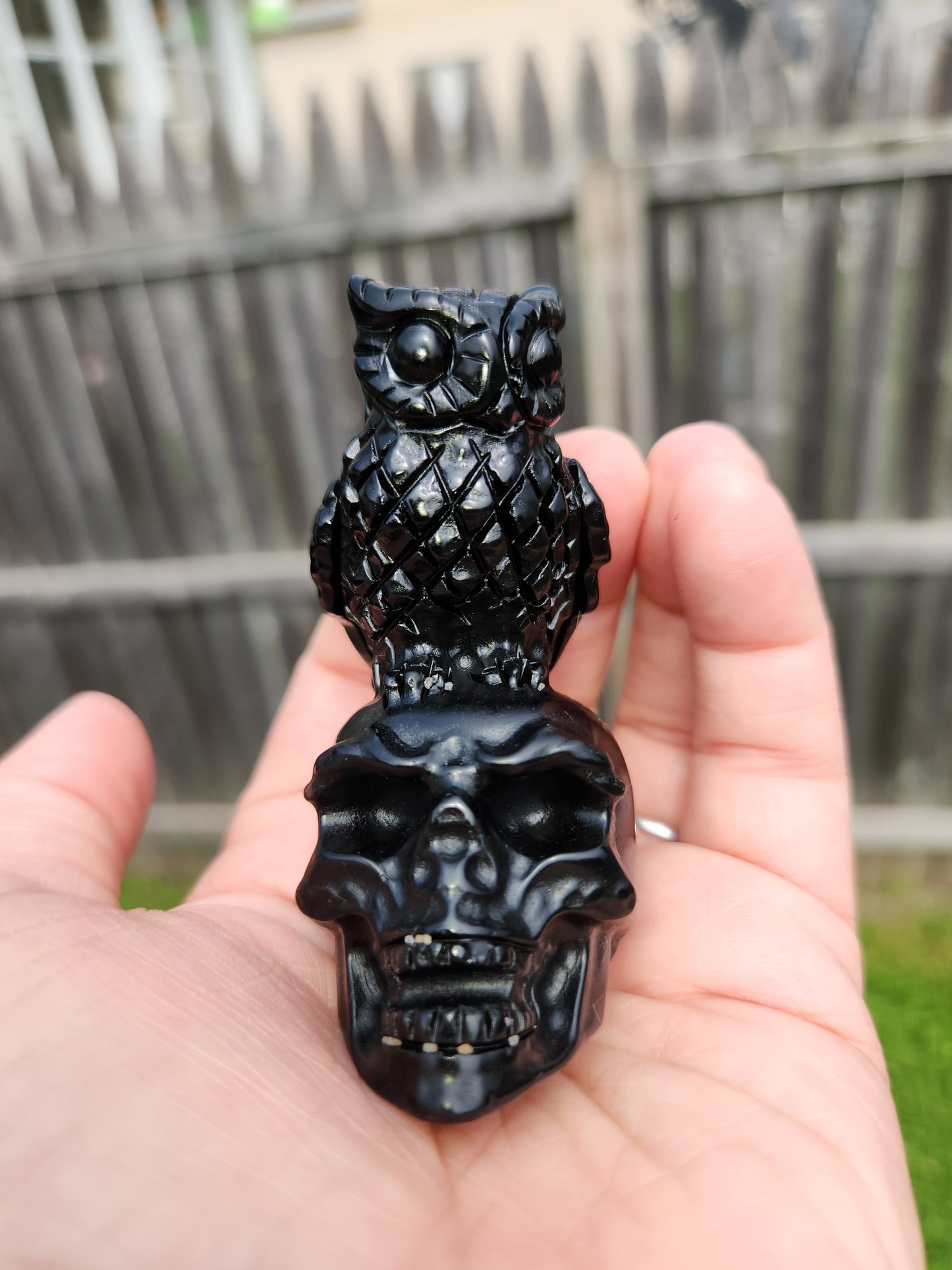 Black Obsidian | Owl on a Skull