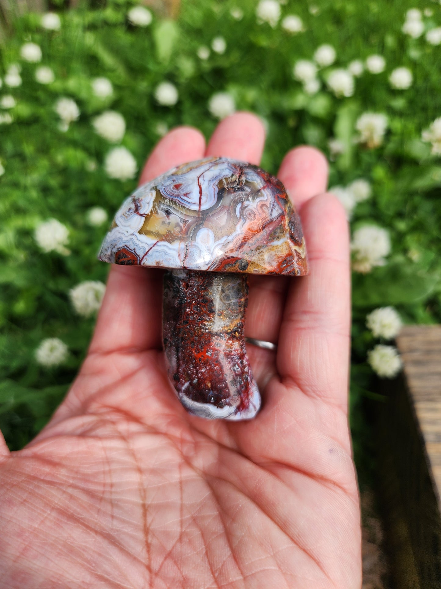 Crazy Lace Agate | Mushrooms