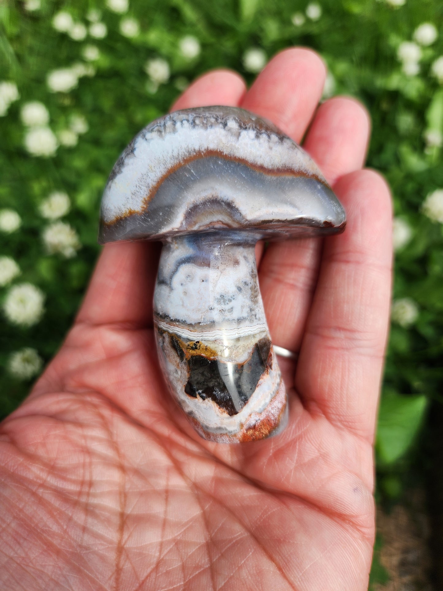Crazy Lace Agate | Mushrooms