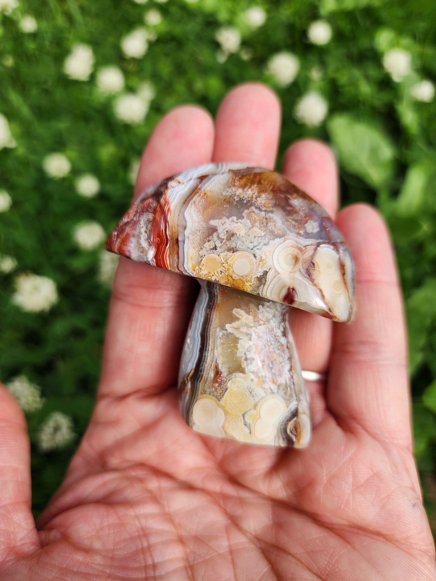 Crazy Lace Agate | Mushrooms