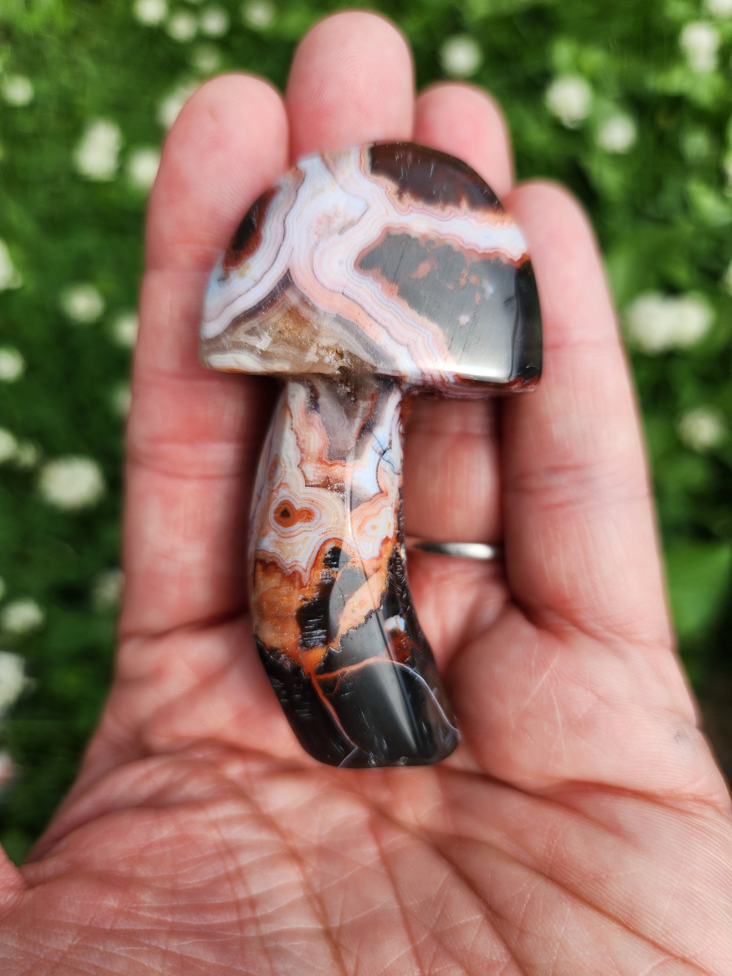 Crazy Lace Agate | Mushrooms
