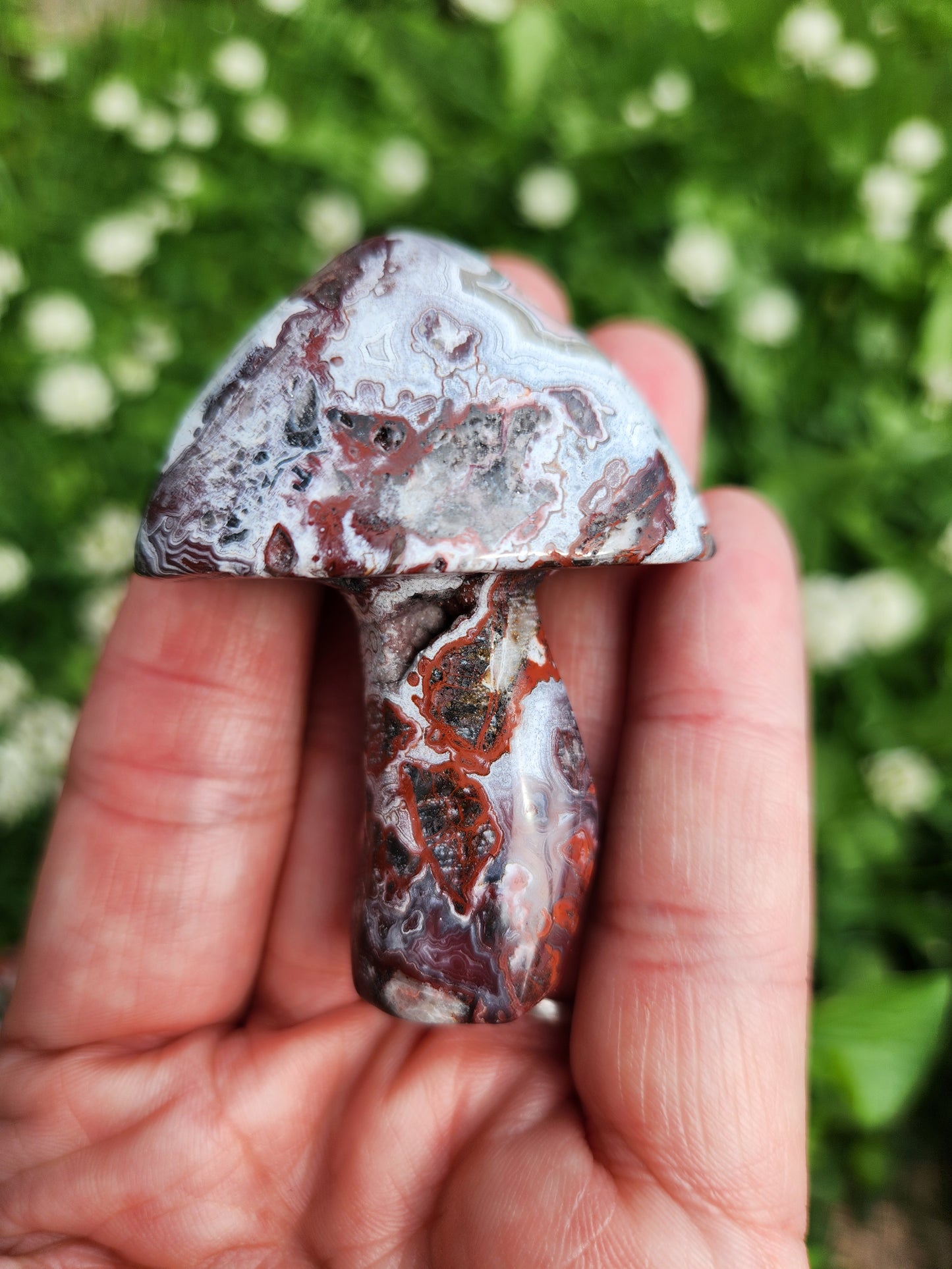 Crazy Lace Agate | Mushrooms