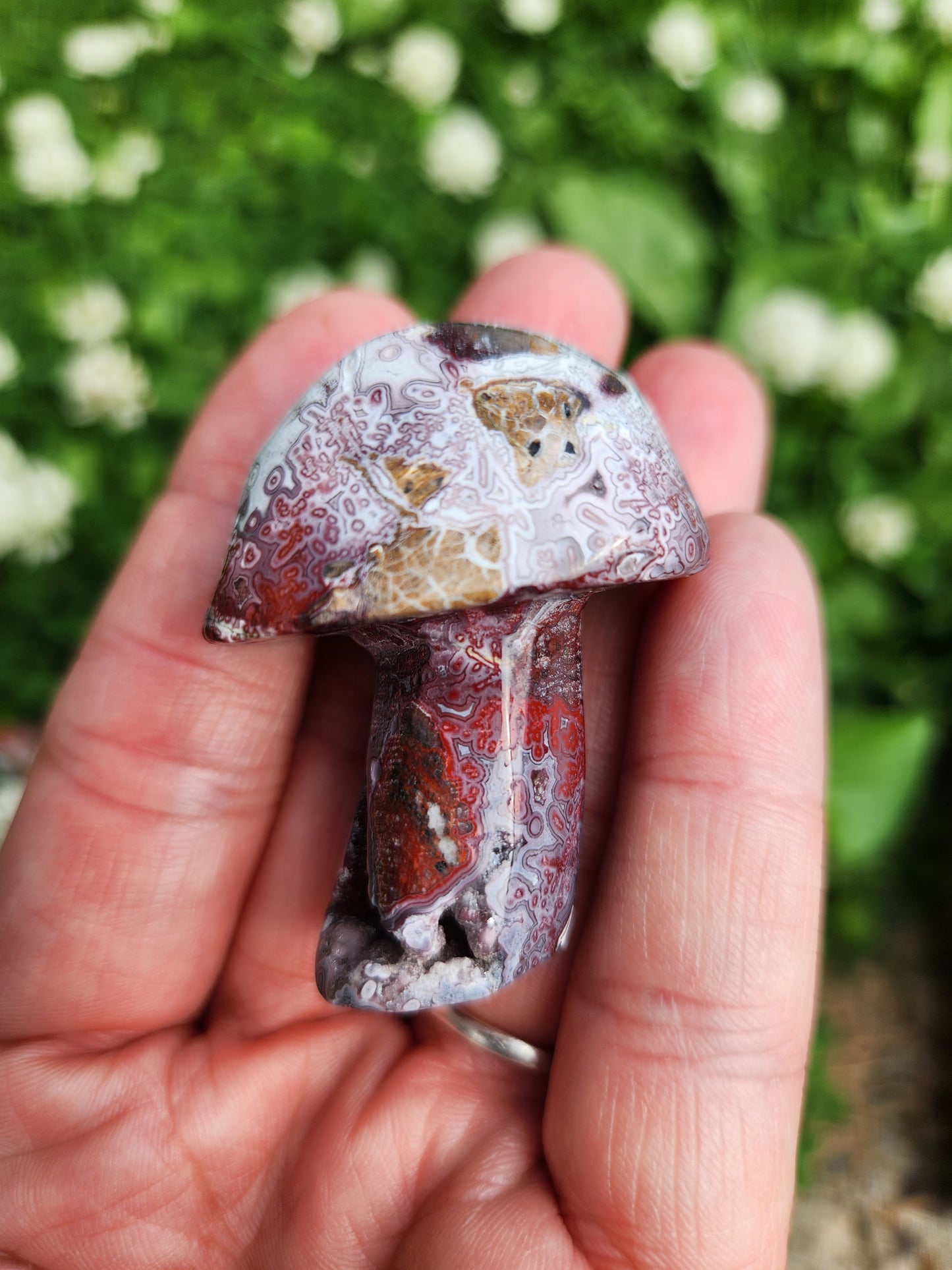 Crazy Lace Agate | Mushrooms