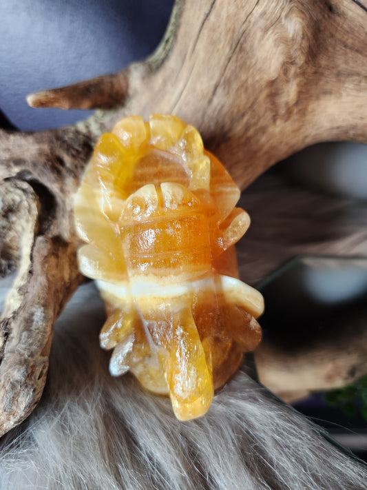 Orange Calcite | Scorpions