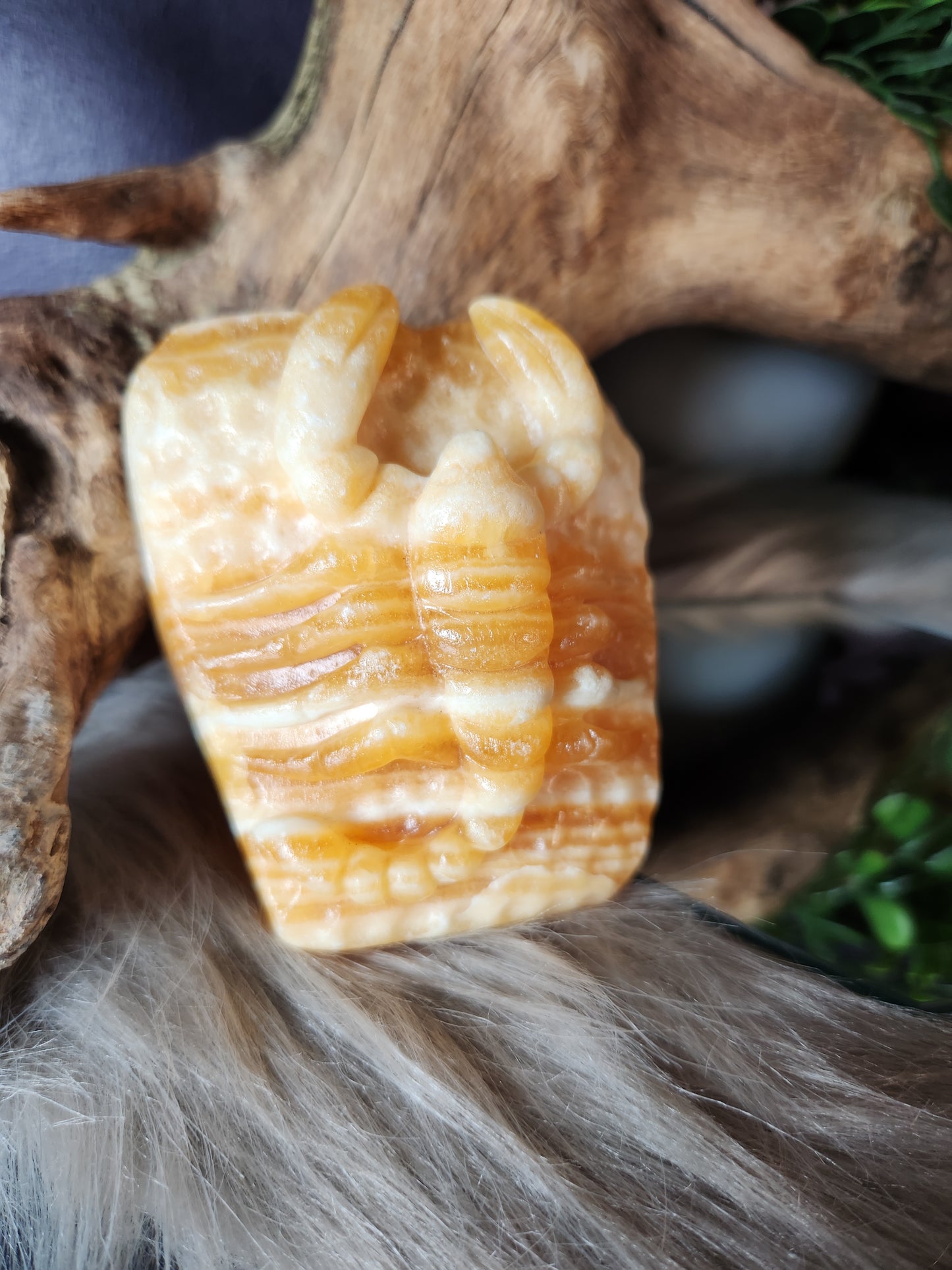 Orange Calcite | Scorpions