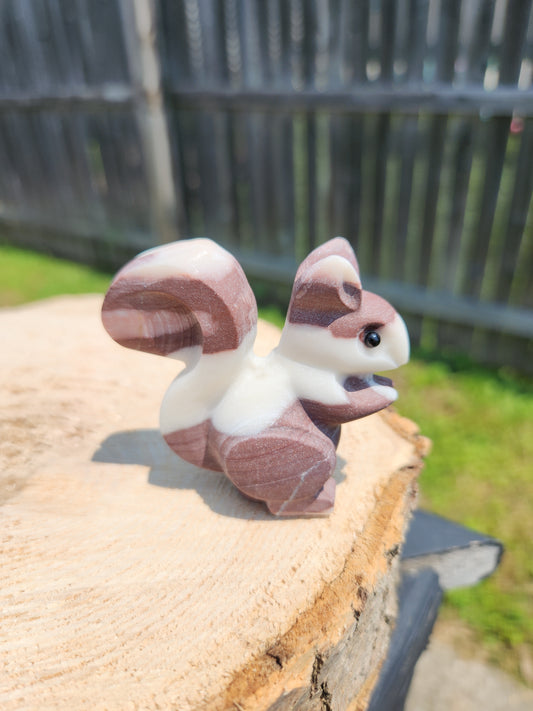 Cutie Squirrels!