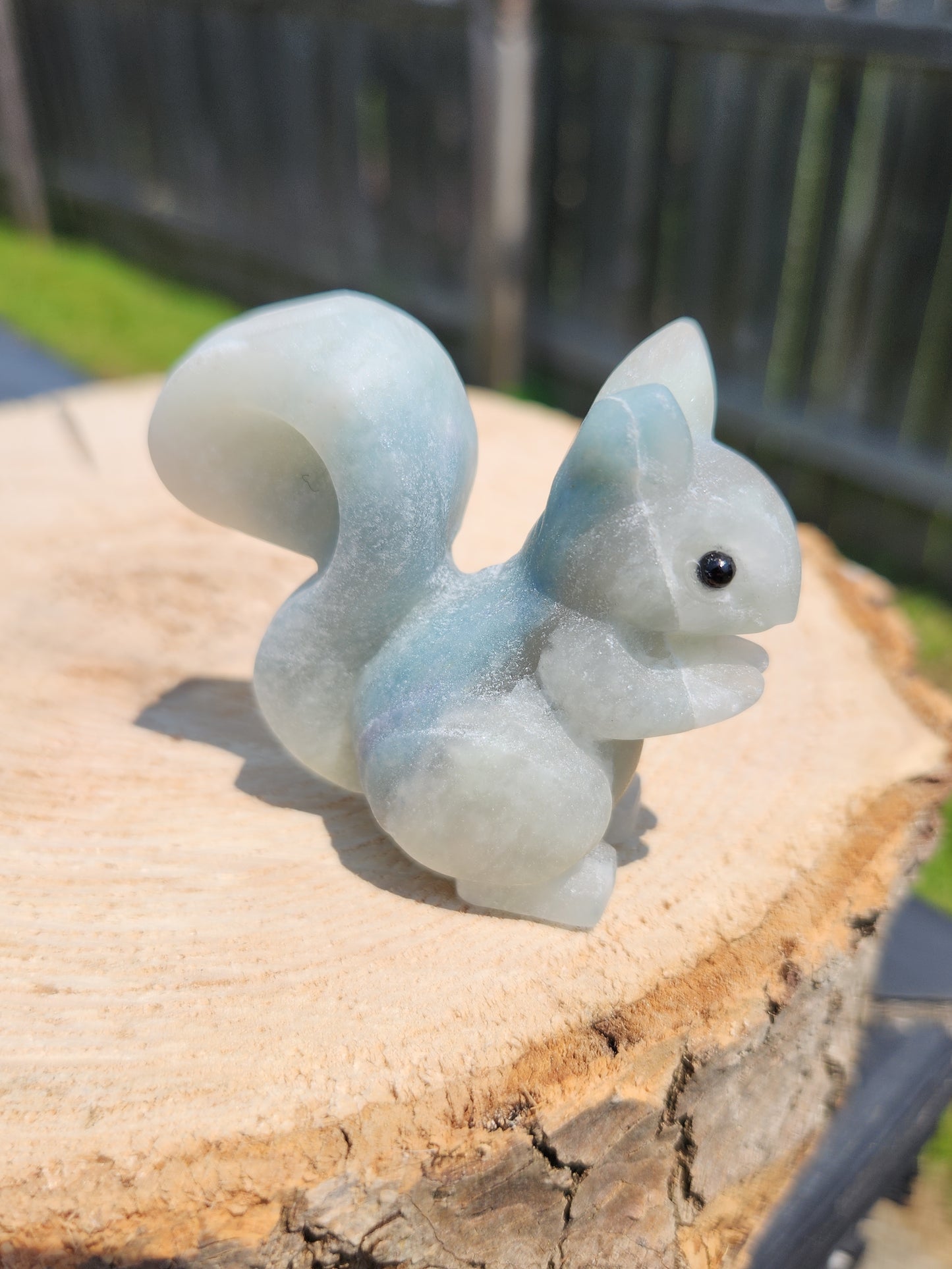 Cutie Squirrels!