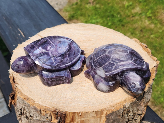 Gem Lepidolite | Large Turtles
