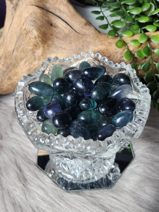 Blue\Green Fluorite | Forbidden Jelly Beans