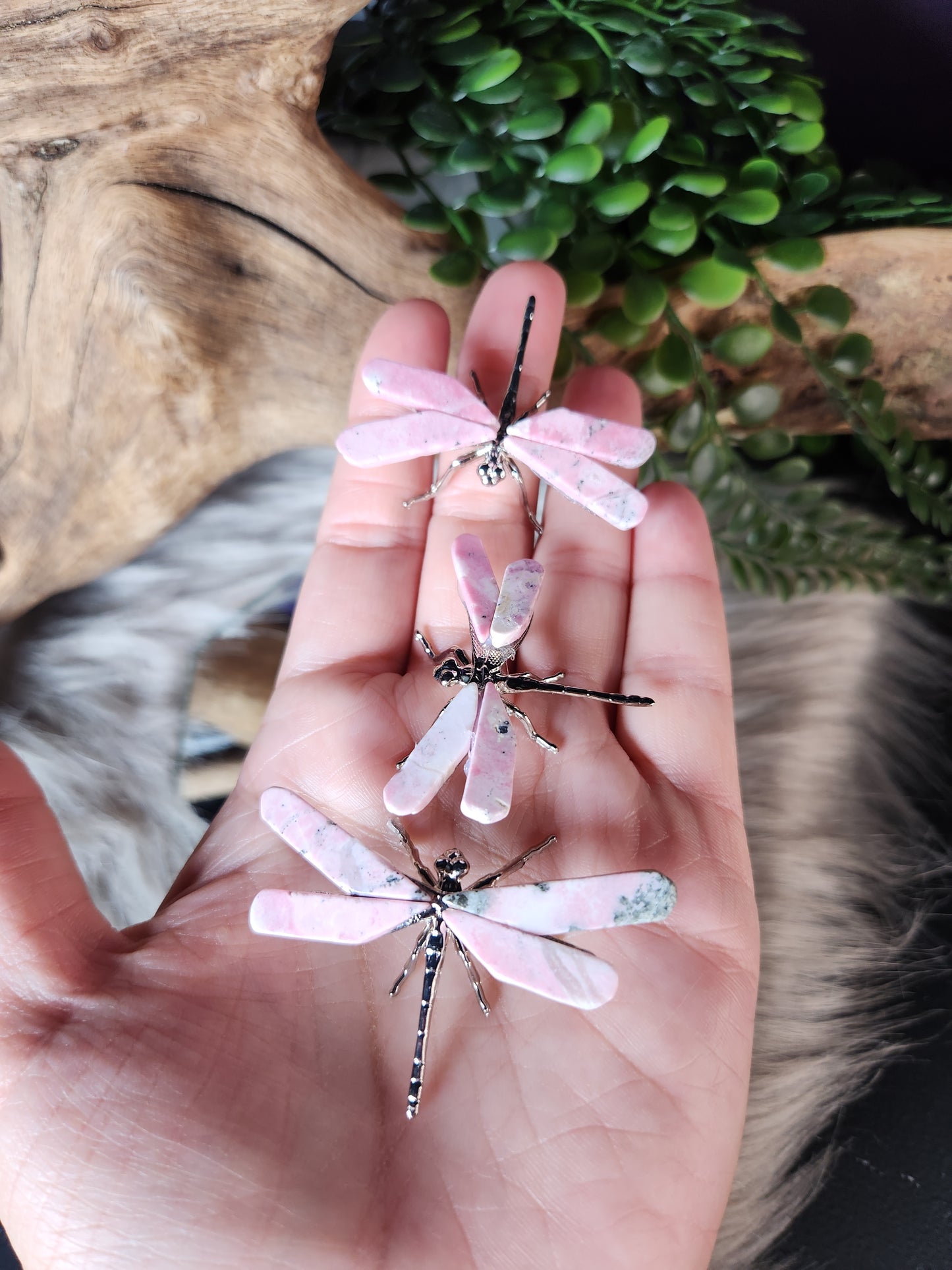 Rhodochrosite | Dragon Flies