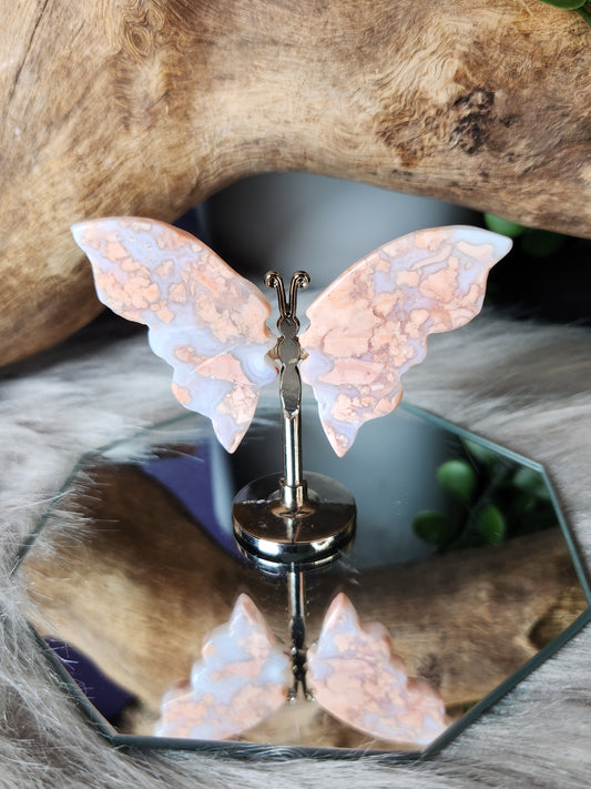 Crystal Wing Butterflies