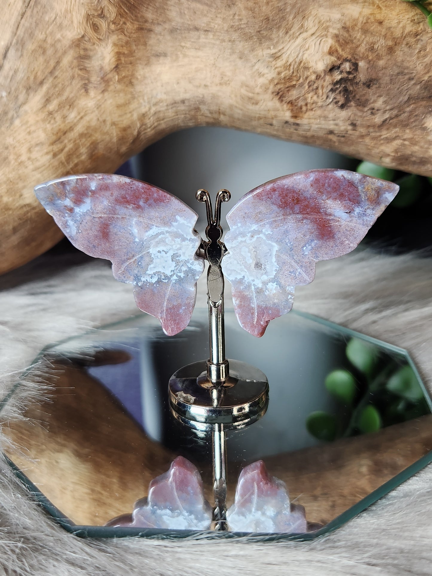 Crystal Wing Butterflies