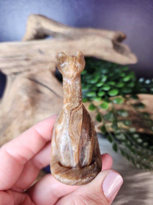 Honey Calcite | Classy Cat