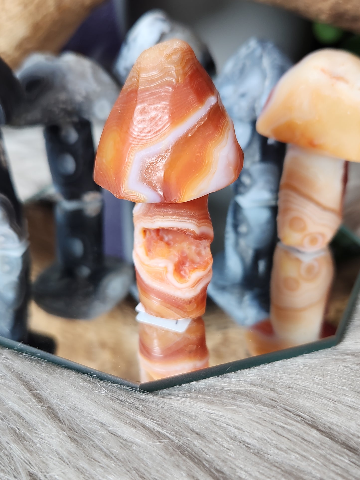 Gobi Agate | Shroomies
