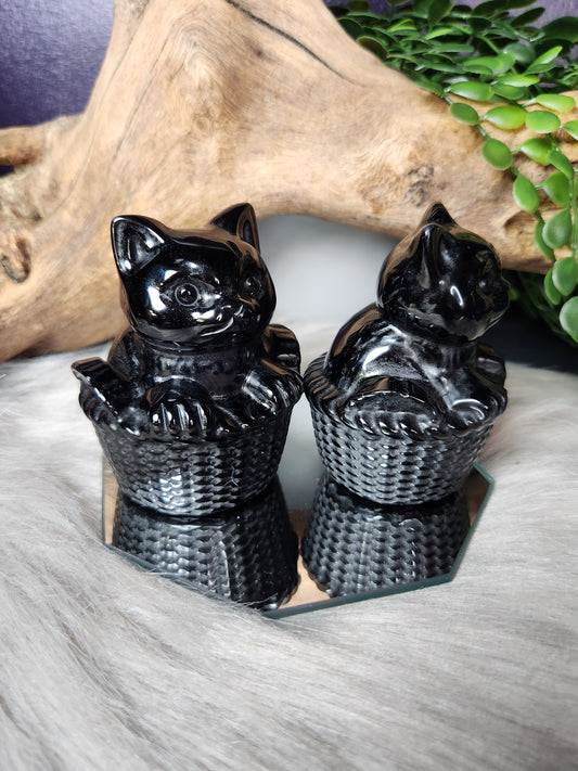 Obsidian | Large Basket Kitten