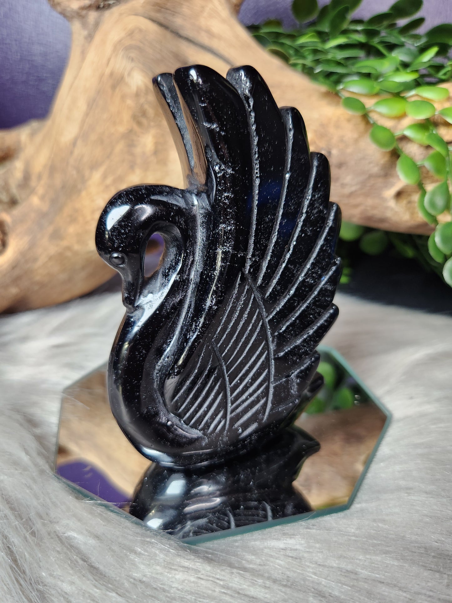 Obsidian | Swan