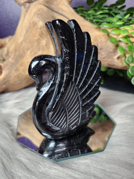 Obsidian | Swan