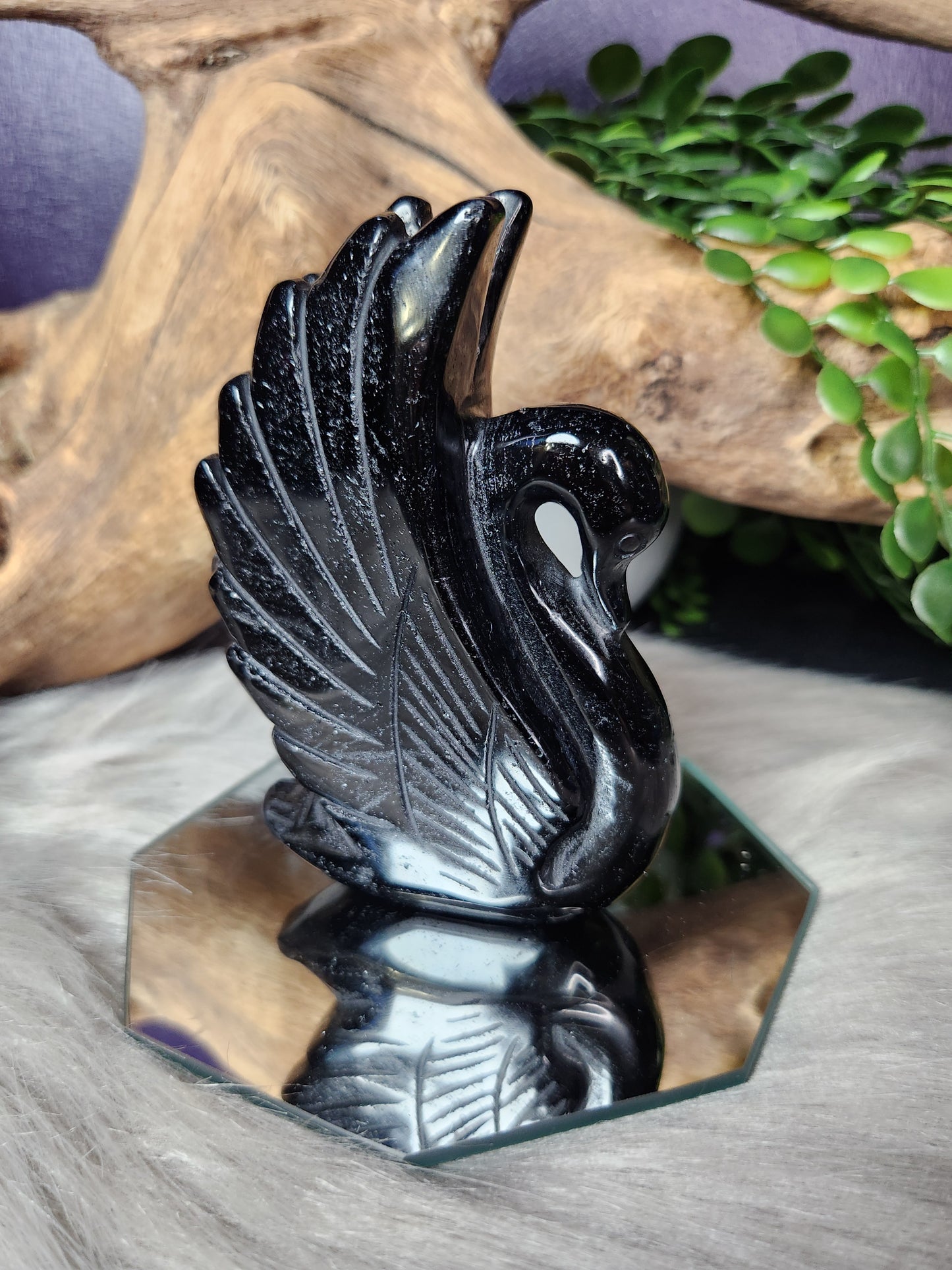 Obsidian | Swan