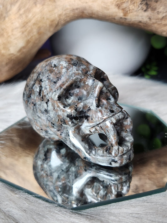 Syenite | Vampire Skull