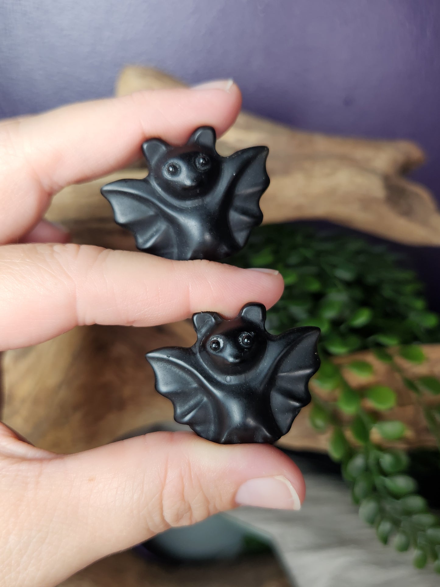 Obsidian | Cutie Pie Bats