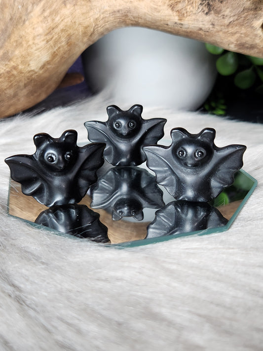 Obsidian | Cutie Pie Bats