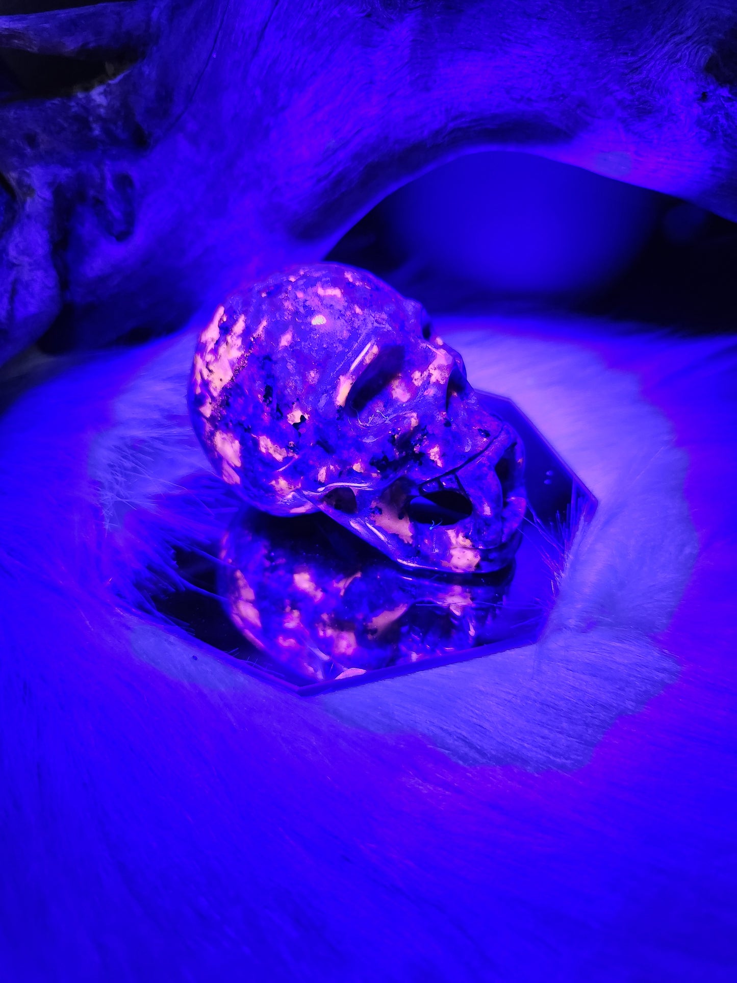 Syenite | Vampire Skull