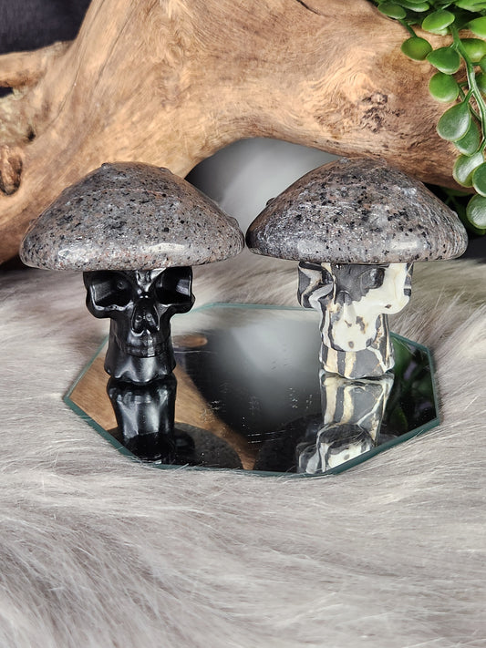 Syenite, Zebra Jasper & Obsidian | Skull-Shrooms