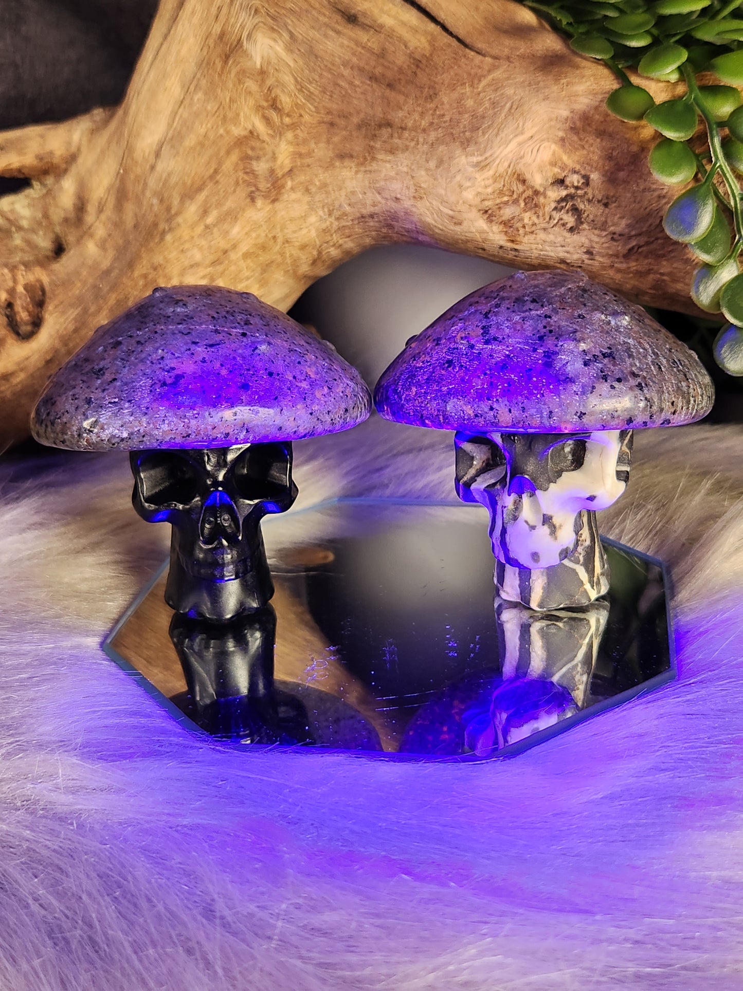 Syenite, Zebra Jasper & Obsidian | Skull-Shrooms
