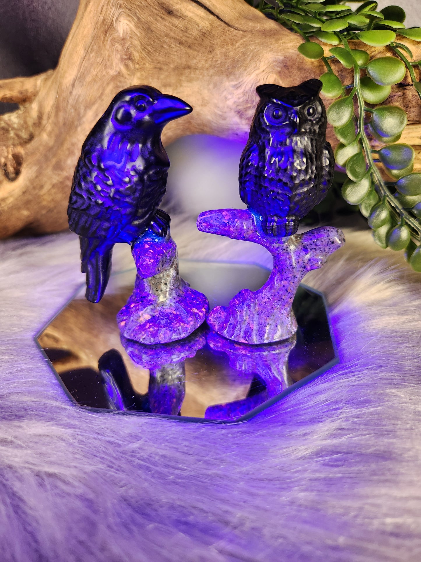 Obsidian & Syenite | Night Birds