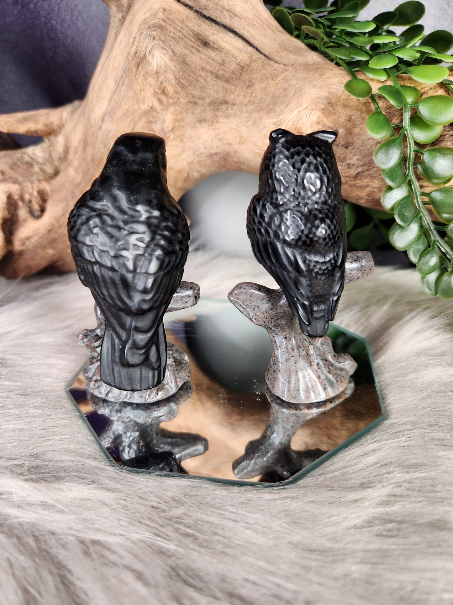 Obsidian & Syenite | Night Birds