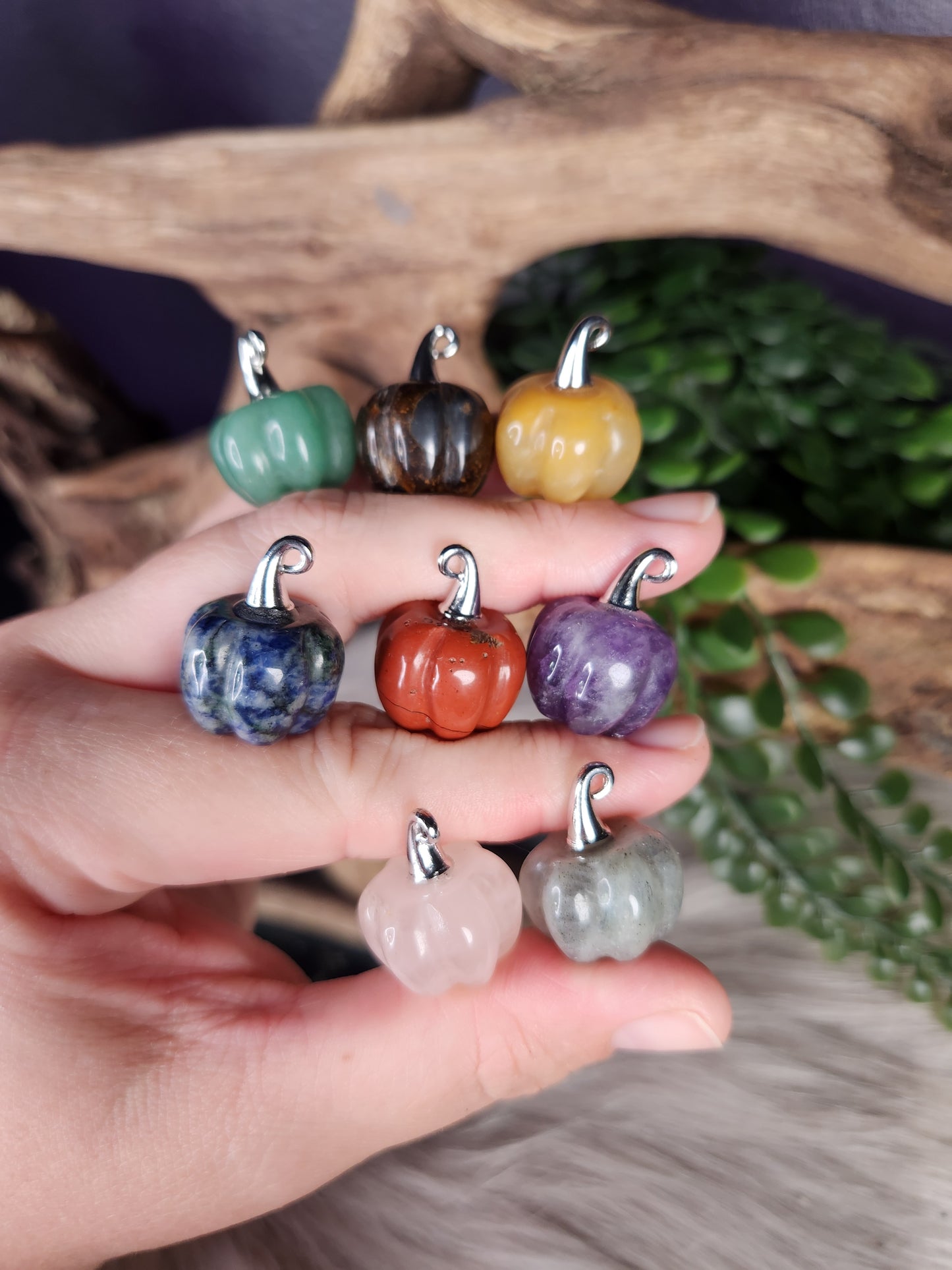 Mini Pumpkins | Trick-r-Treat!