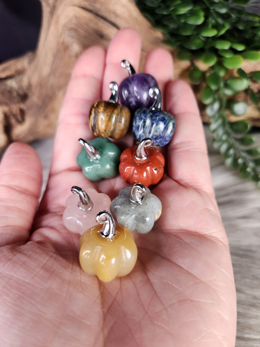 Mini Pumpkins | Trick-r-Treat!