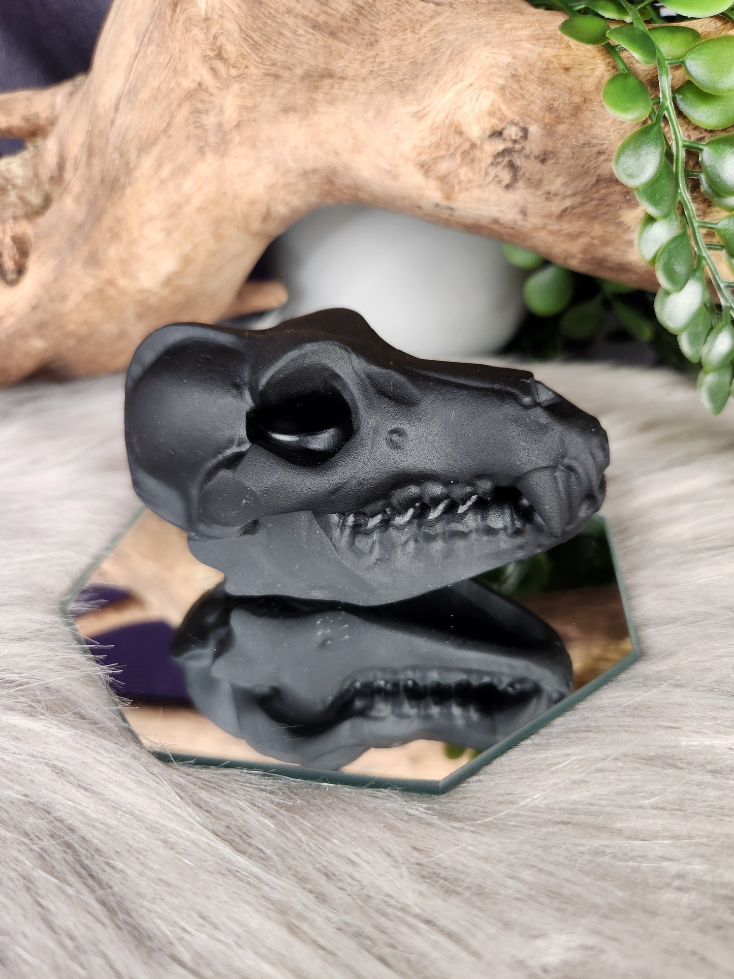 White Jade & Obsidian | Canine Skulls
