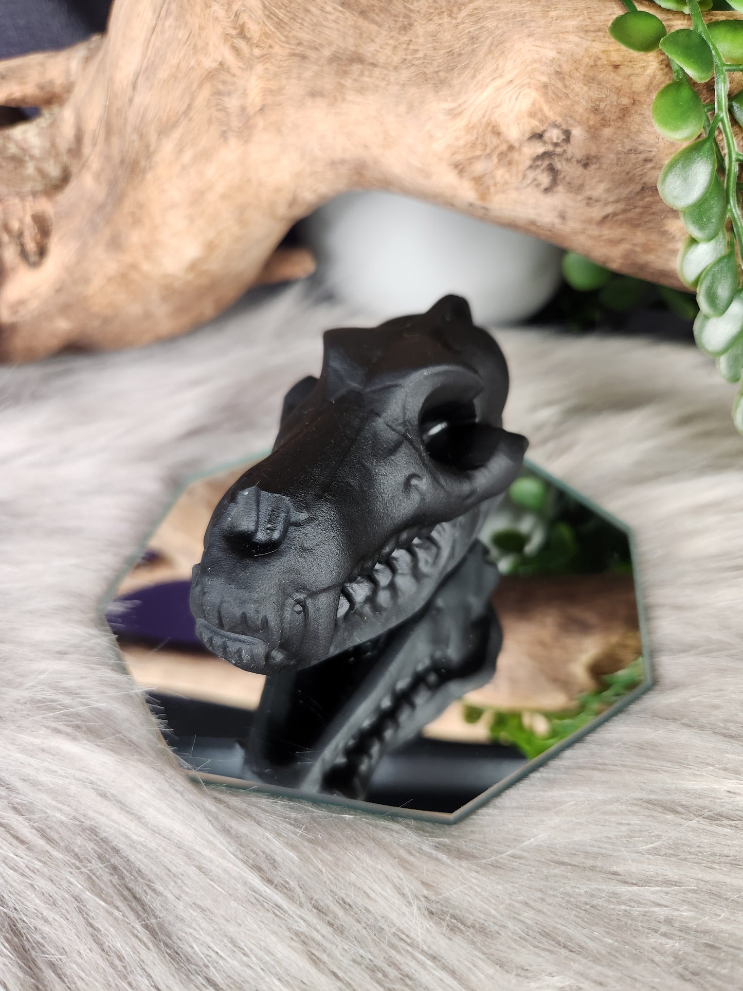 White Jade & Obsidian | Canine Skulls