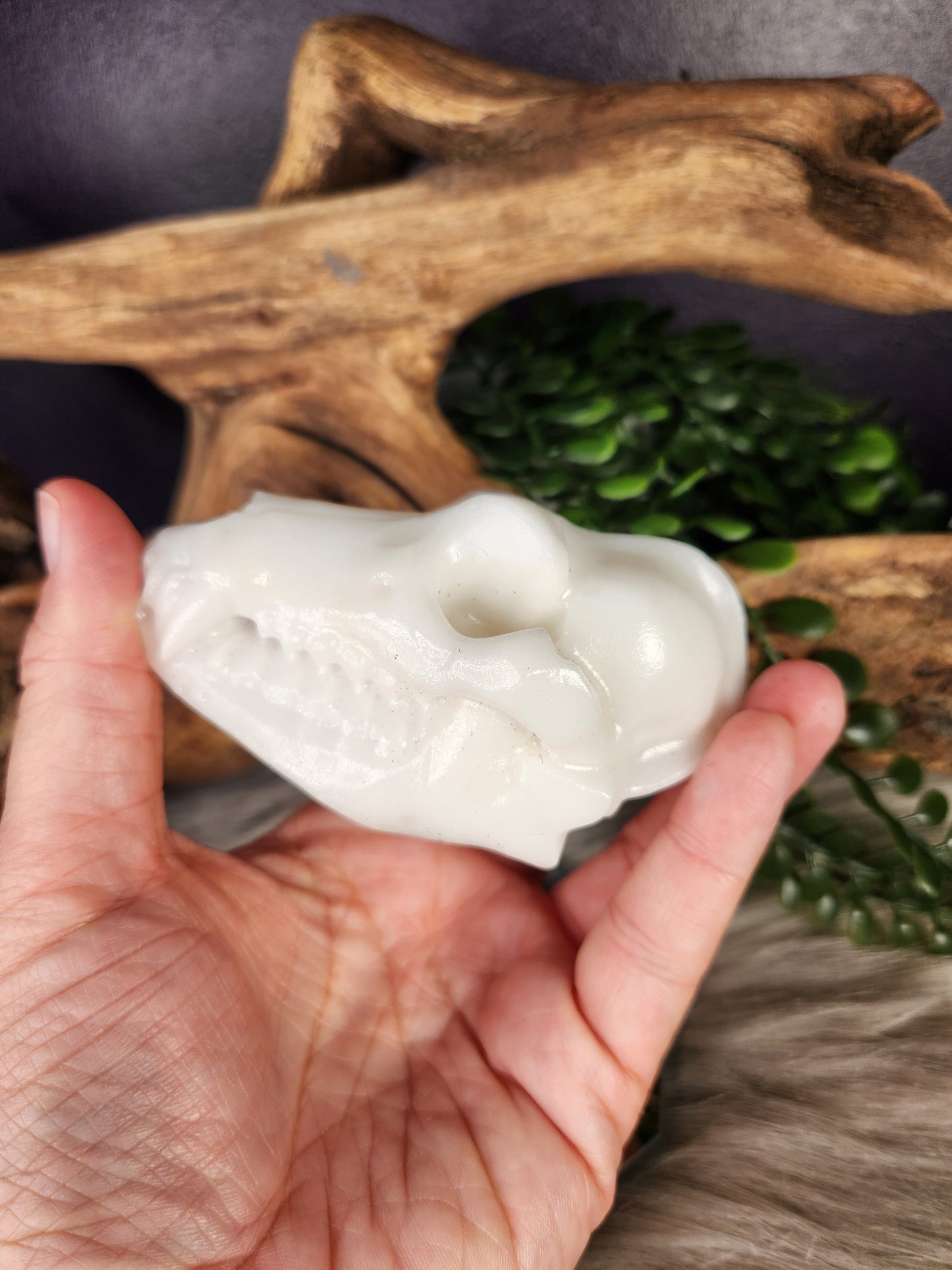 White Jade & Obsidian | Canine Skulls