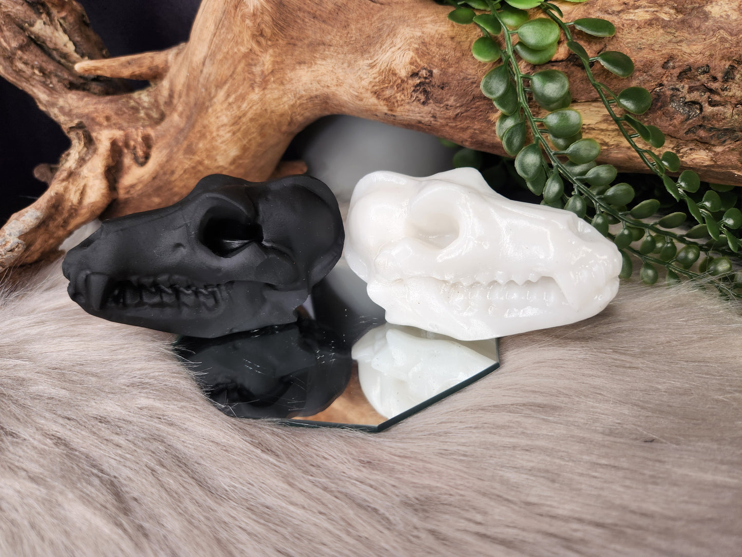 White Jade & Obsidian | Canine Skulls