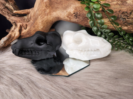 White Jade & Obsidian | Canine Skulls