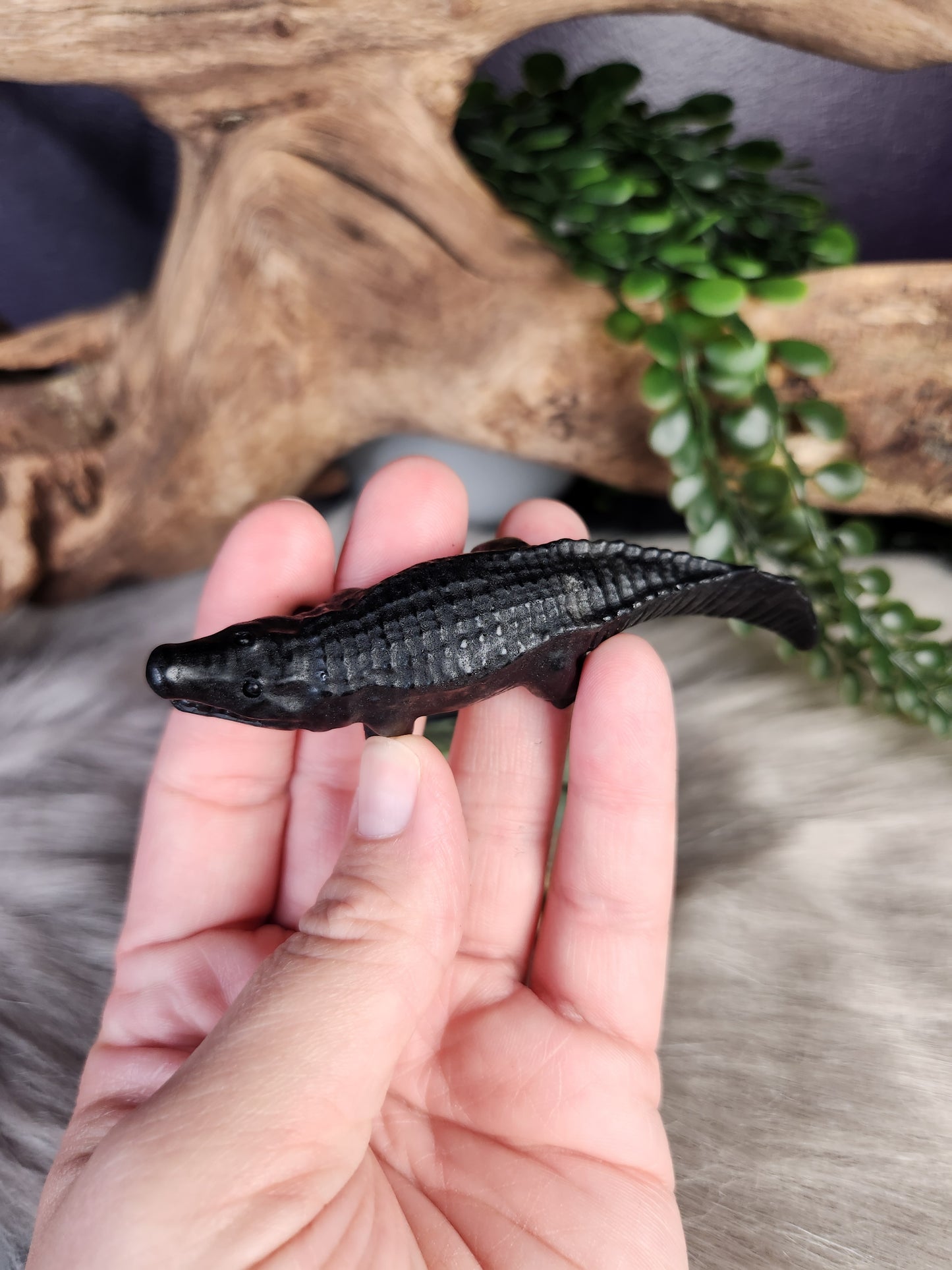 Obsidian & Green Jade |  Crocodiles