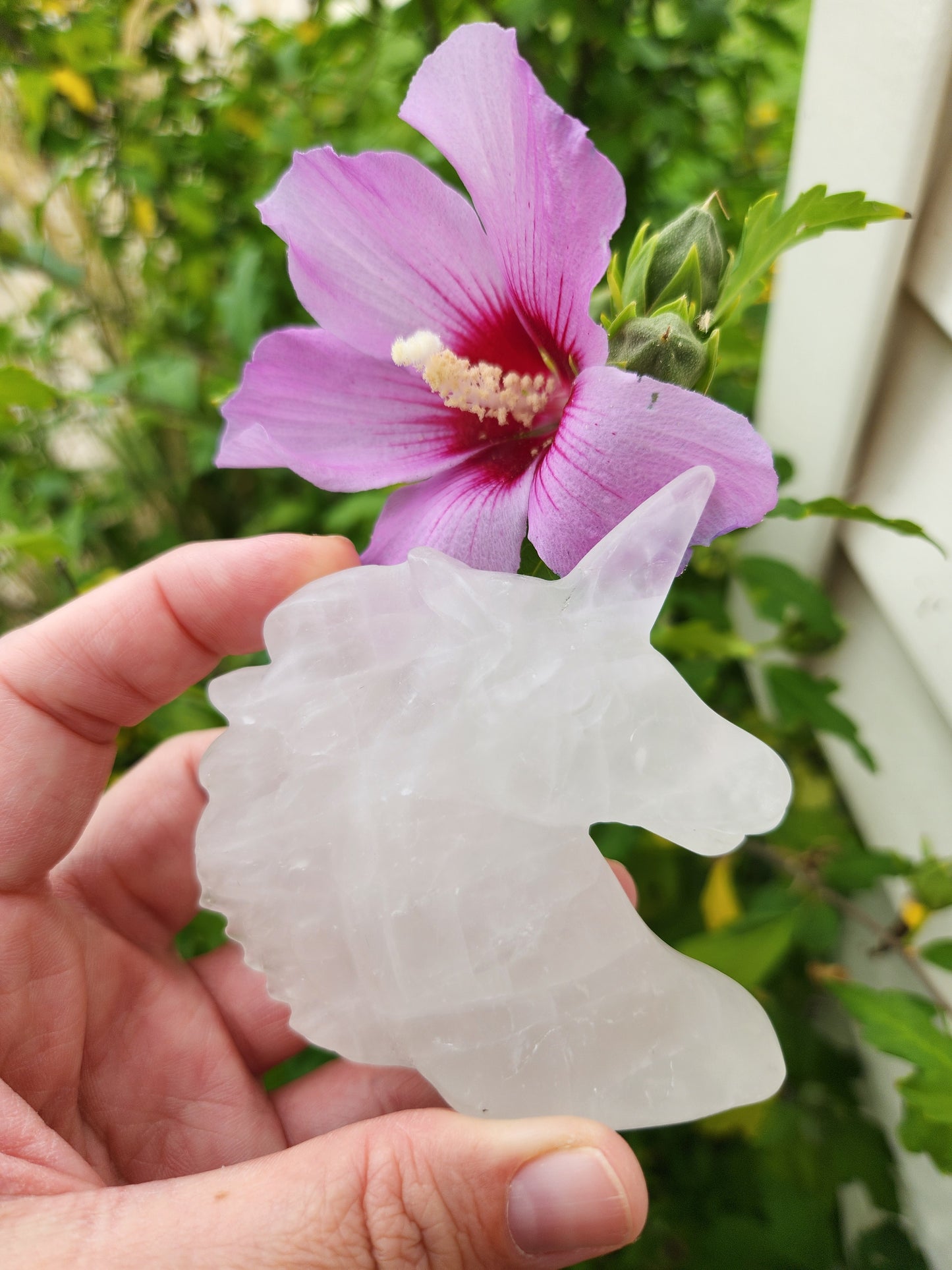 Quartz | Unicorns