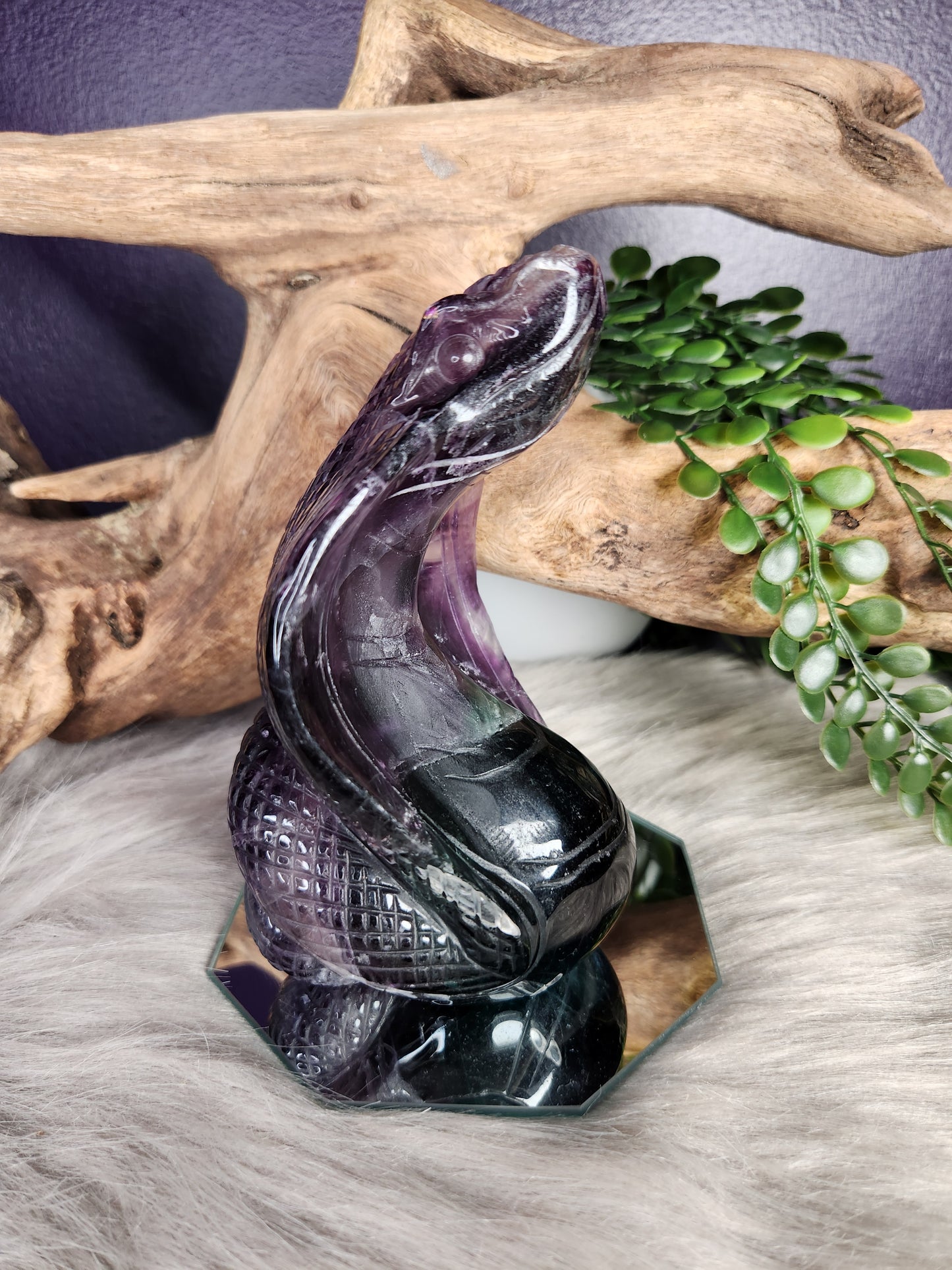 Fluorite | Cobra