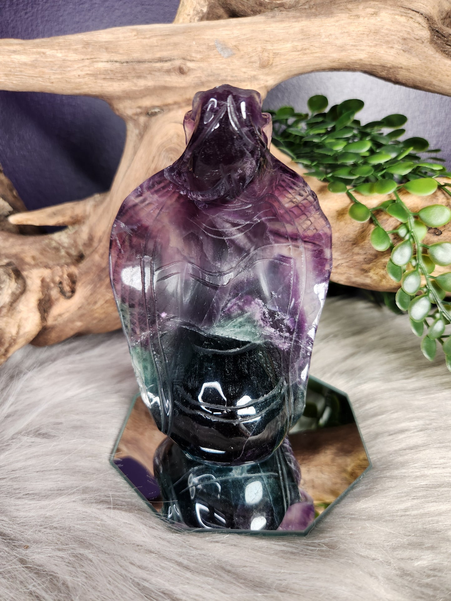 Fluorite | Cobra