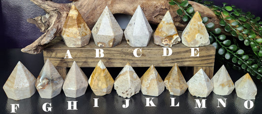 Fossilized Coral Points