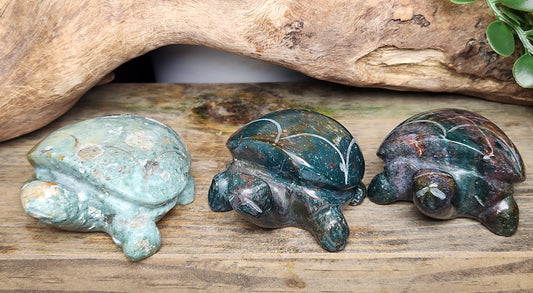 Ocean Jasper | Turtles