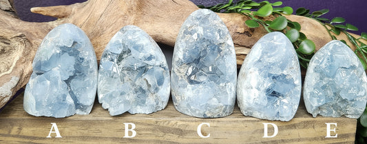 Celestite | Free Forms