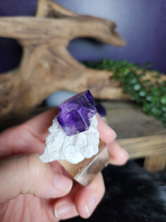 YGX Fluorite | Specimens